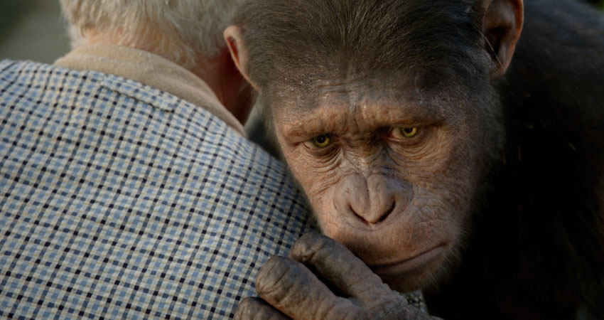 c doyle rise planet apes 01