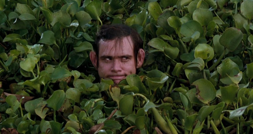 c folk ace ventura 2 04