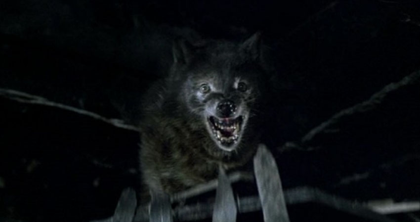 c horner wolfen 03