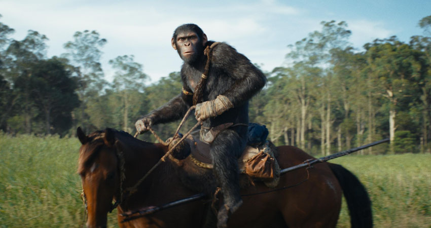 c paesano kingdom planet apes 05